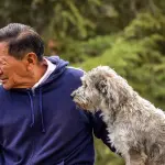 Cani guida protagonisti a Milano: XX Giornata nazionale in piazza Città di Lombardia