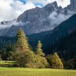 Carpaneta, via libera agli interventi straordinari: la Lombardia tutela il bosco della pianura