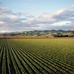 Lombardia, PSR chiuso con 1,4 miliardi erogati