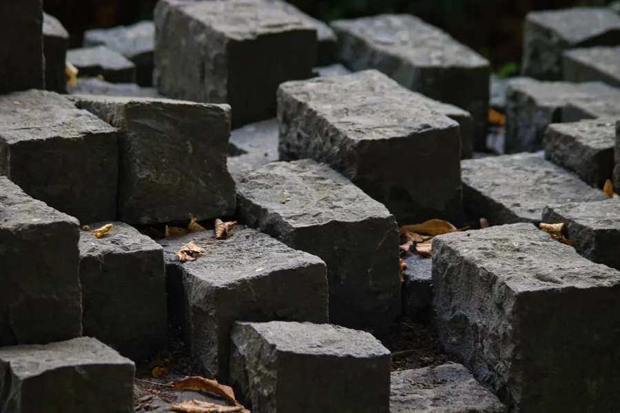 Milano posa 21 nuove Pietre d’Inciampo: i nomi tornano davanti alle case