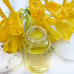 Olio di colza: fa male alla salute?