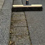 WAU! Milano, vent’anni di volontariato civico e collaborazione con il Comune