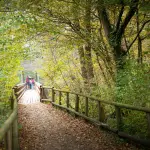 “Equilibrium”, l’arte racconta il fragile equilibrio tra uomo e natura nella Riserva della Biosfera Ticino Val Grande Verbano