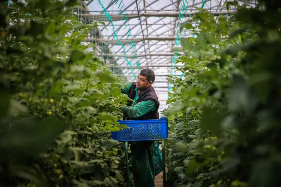 Regione Lombardia finanzia 21 progetti per un’agricoltura più innovativa e sostenibile