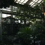 Orto Botanico di Brera, 250 anni di storia tra scienza, memoria e alberi monumentali