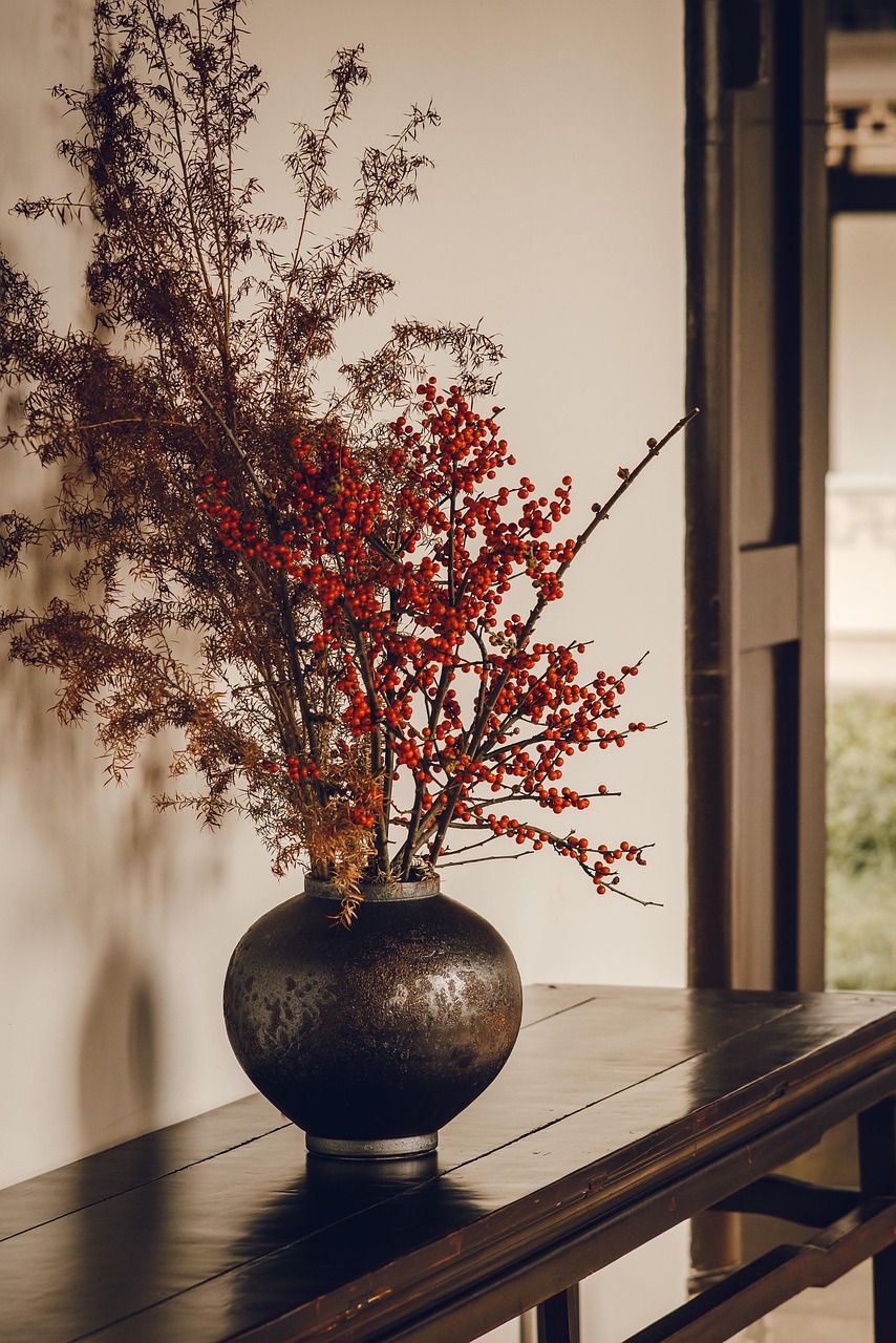 Connessione tra ambiente, casa e giardino