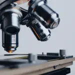 Tumori delle corde vocali, scoperto il meccanismo che rende il tessuto invasivo