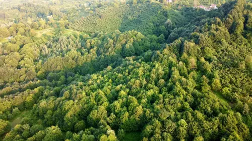 Casorezzo ospita l’incontro sul progetto PNRR per la forestazione urbana e la tutela del verde