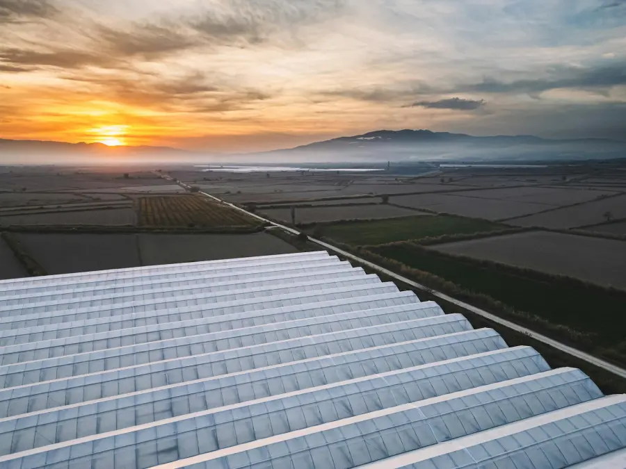 DOP e IGP, da TuttoFood parte l’idea di un’Expo europea