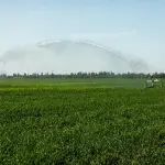 Volta Mantovana, inaugurato il primo distretto irriguo automatizzato