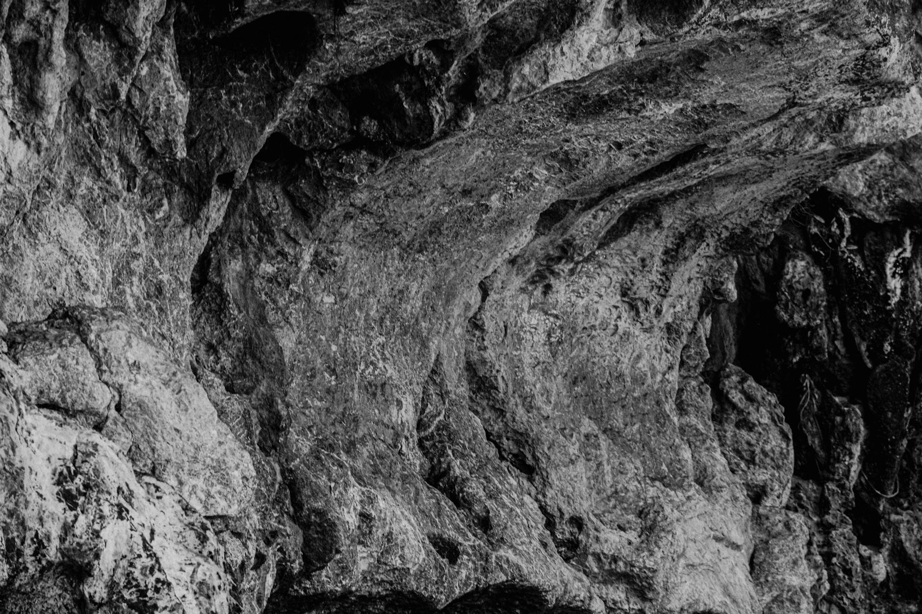 Bradipo gigante, ricostruito l’Ocnotherium dopo quasi due secoli