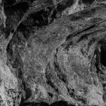 Bradipo gigante, ricostruito l’Ocnotherium dopo quasi due secoli