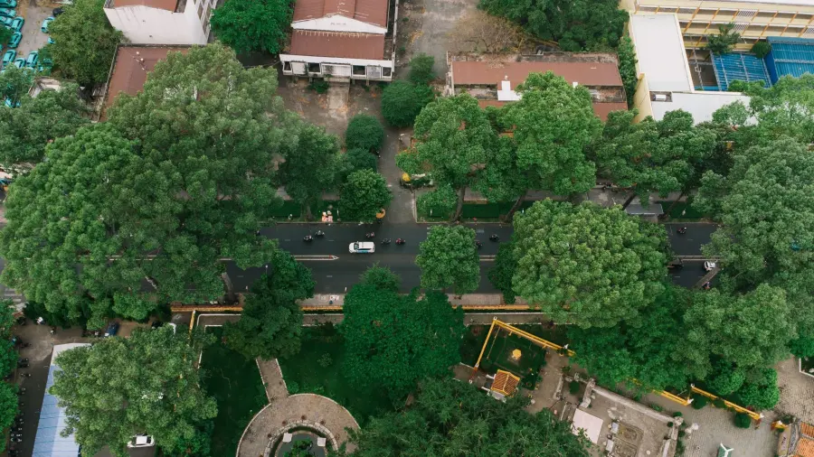 Milano, 62mila nuovi alberi con il PNRR Forestazione