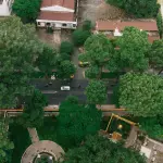 Milano, 62mila nuovi alberi con il PNRR Forestazione