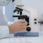 Oncologia veterinaria di precisione: nuova molecola testata nei cani