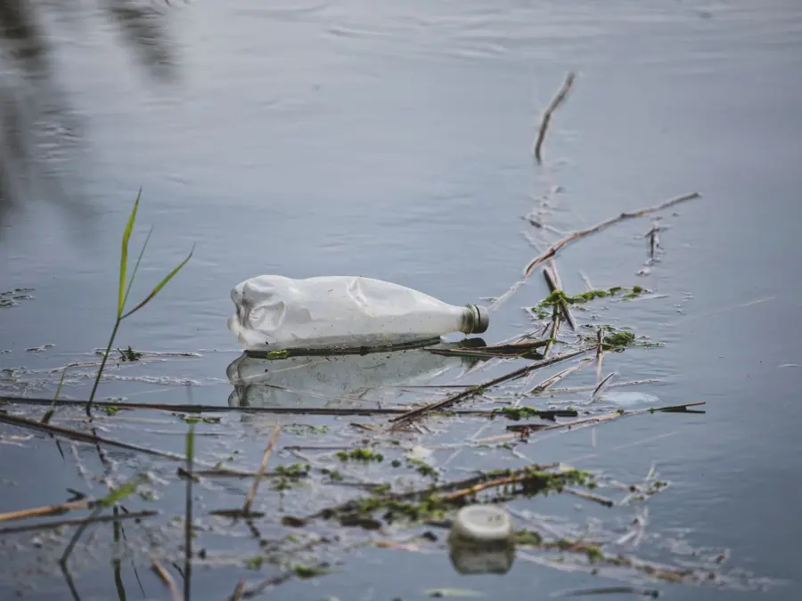 Laveno Mombello, il torrente Boesio è fortemente inquinato