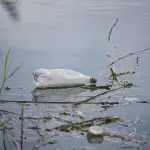 Laveno Mombello, il torrente Boesio è fortemente inquinato