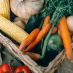 Cibo e biodiversità, nuovo indice misura il rischio globale