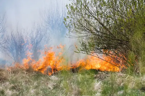 Incendio lungo il Ticino a Motta Visconti, denunciati due giovani